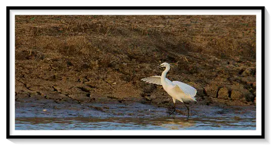 EGRET