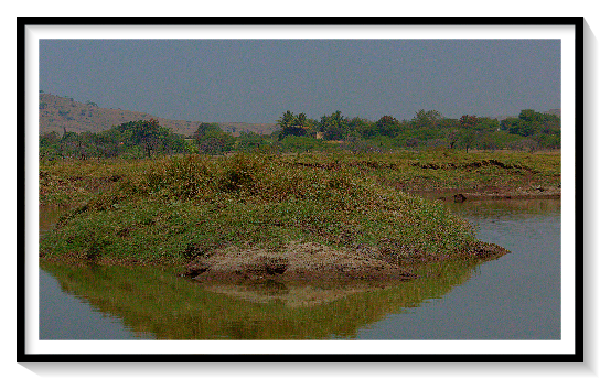 NATURE IN WILD AT INDIANA, ASIA ,AFRICA