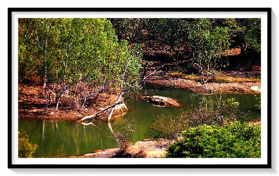 NATURE SCENE INDIA INDIANA,USA AUSTRALIA